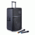 Soundsation Provibe Kolumna aktywna  12AIR, bluetooth, mp3, 2 mikrofony bezprzewodowe